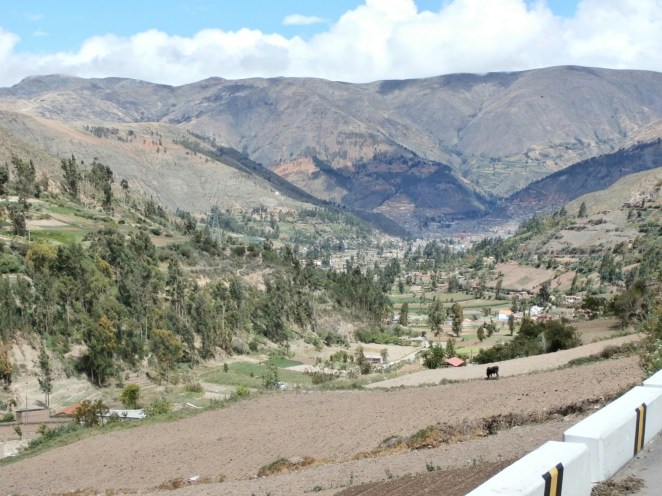 wp-1450615176370 image